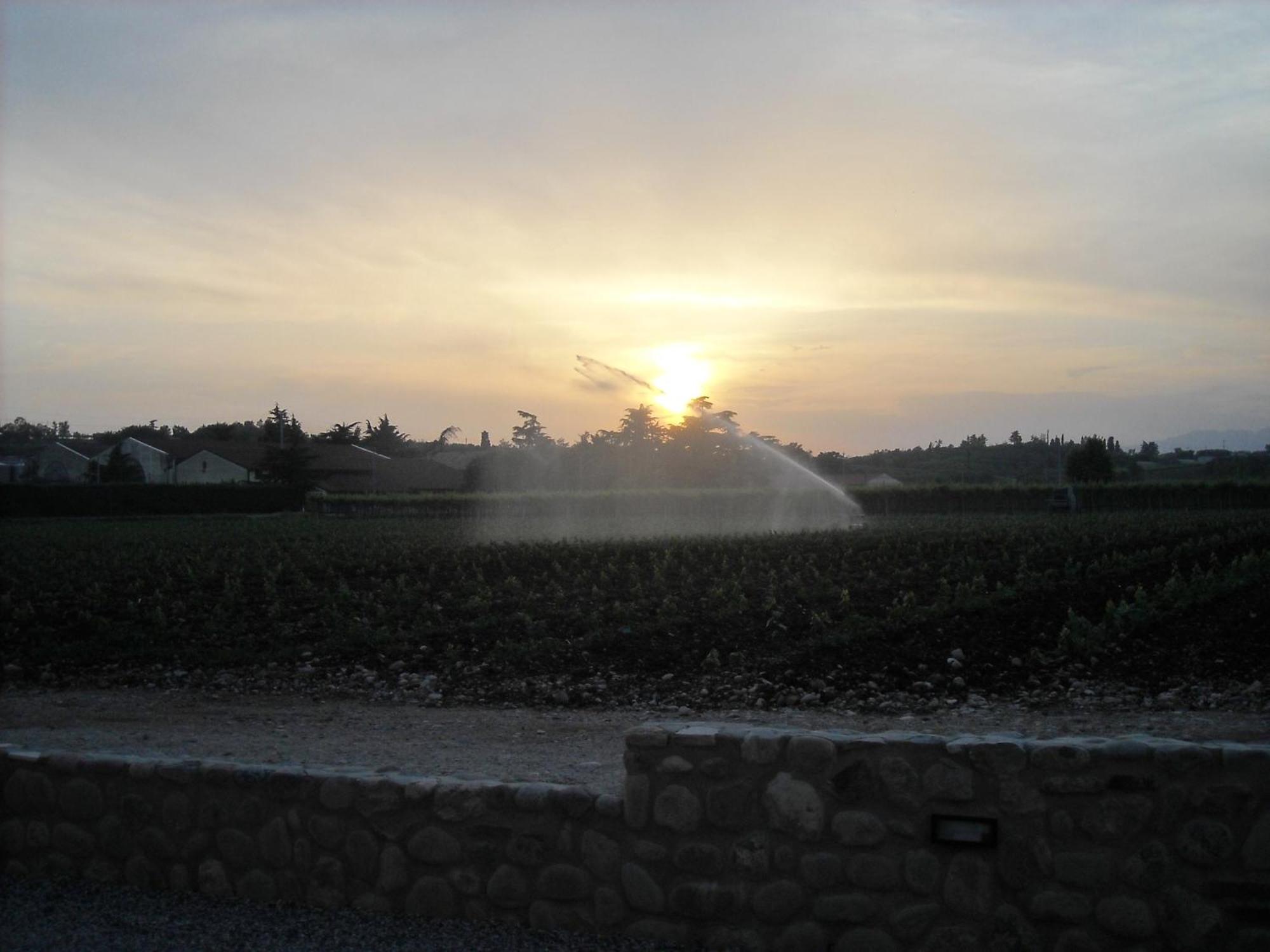 Agriturismo Le Campagnole Bardolino Exteriér fotografie